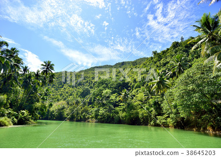 Bohol Island River Cruise 38645203