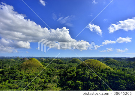 Chocolate Hills 38645205