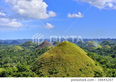 Chocolate Hills 38645207