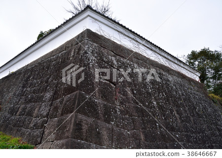 仙台城堡遺址 仙台城堡遺址 38646667