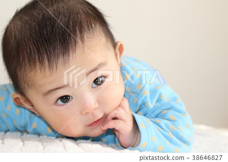 Baby 5 months 38646827