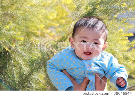 Baby 5 months 38646844