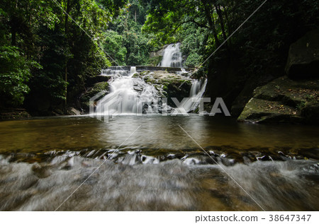 waterfall stream surrounded by rainforest waterfall stream surrounded by rainforest 38647347