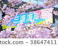 櫻花季節的三浦海岸站的招牌 38647411
