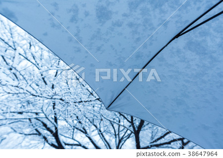 Winter snow Winter snow 38647964