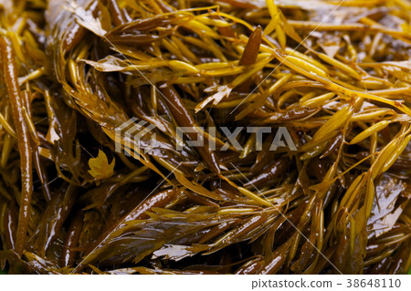 Akamoku成分 38648110