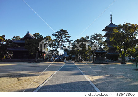 香川Zentuji Toin 38648800