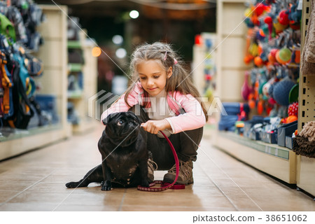 Little girl chooses house for puppy in pet shop Little girl chooses house for puppy in pet shop 38651062
