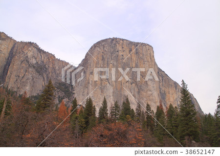 優勝美地的風景 優勝美地的風景 38652147