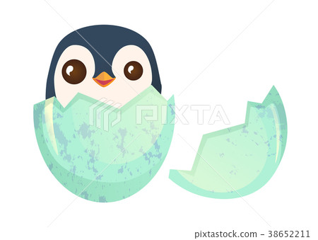 chick in egg 38652211