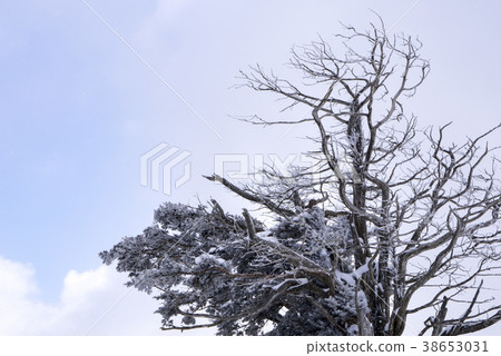 Balwansan,Daegwallyeong,平昌郡,江原道 Balwansan,Daegwallyeong,平昌郡,江原道 38653031
