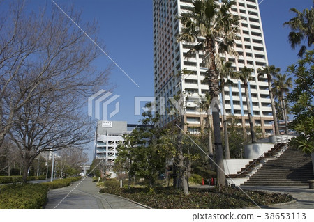 浦安市3月 浦安市3月 38653113