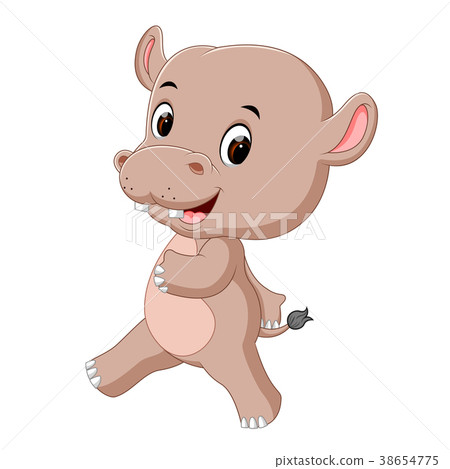 funny hippo jumping 38654775