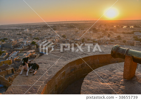 The world heritage of India The morning sun and the cityscape seen from inside of Jaisalmer Castle Stray dogs and cannons sitting on the fort The world heritage of India The morning sun and the cityscape seen from inside of Jaisalmer Castle Stray dogs and cannons sitting on the fort 38655739