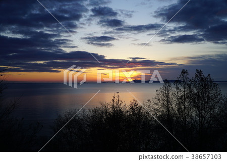 Asahi Akoichi 38657103