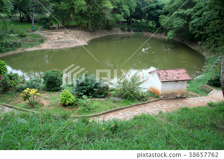 Pond amidst Greenery 38657762