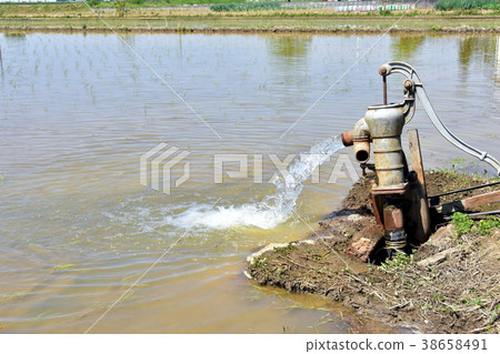 用水泵給稻田注水 用水泵給稻田注水 38658491