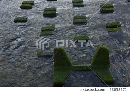 日本佐川的藍色海藻 38658571