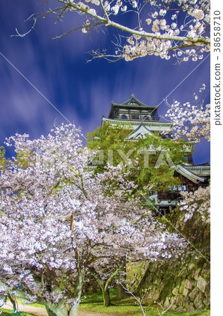 A castle tower that looks like cherry blossoms, Hiroshima Castle Hiroshima castle into Cherry bloss A castle tower that looks like cherry blossoms, Hiroshima Castle Hiroshima castle into Cherry bloss 38658710