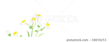 Haldione Watercolor handwriting 38659253