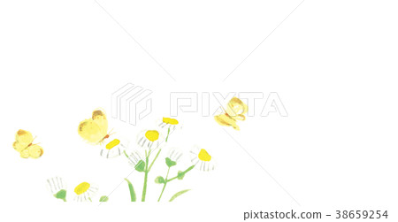 Harrion monkey butterfly watercolor handwriting Harrion monkey butterfly watercolor handwriting 38659254