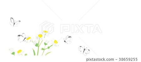 Haldione White butterfly Watercolor handwriting 38659255