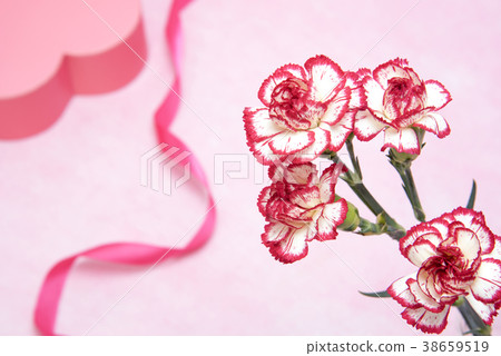 Mother's Day, carnation and ribbon, heart box Mother's Day, carnation and ribbon, heart box 38659519