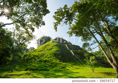Tikal 38659717