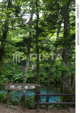 北海道北海道神的池塘 38660437