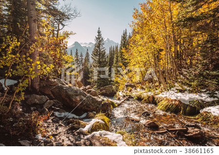 Season changing, first snow and autumn trees 38661165