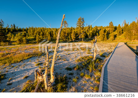 Boardwalk in Yellowstone National Park Boardwalk in Yellowstone National Park 38661216