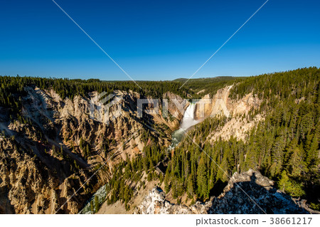 Lower Falls waterfall in Yellowstone 38661217