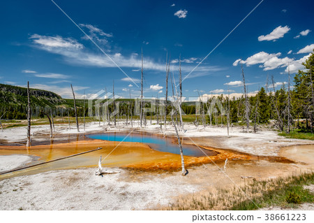 Hot thermal spring in Yellowstone Hot thermal spring in Yellowstone 38661223