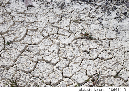 Dry limestone soil. 38661443