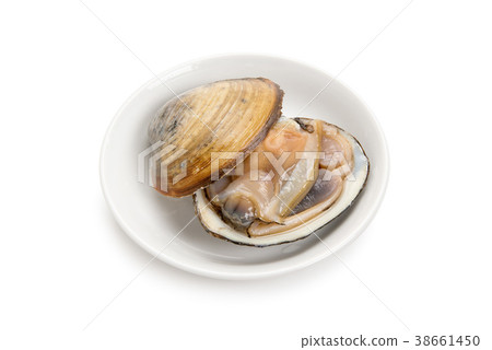 Hockey shellfish Hockey shellfish 38661450