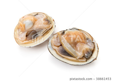 生衝浪蛤 38661453