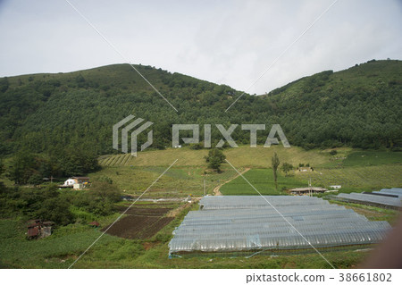 Mindongsan，Jeonsun-gun，江原道 38661802