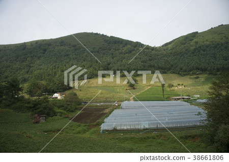 Mindongsan, Jeonsun-gun, Gangwon-do Mindongsan, Jeonsun-gun, Gangwon-do 38661806