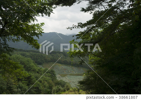 Mindongsan, Jeonsun-gun, Gangwon-do Mindongsan, Jeonsun-gun, Gangwon-do 38661807