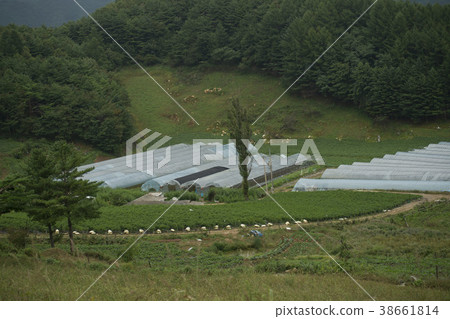 Jeongseon-gun, Gangwon-do Jeongseon-gun, Gangwon-do 38661814
