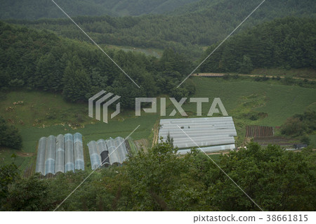 Jeongseon-gun, Gangwon-do Jeongseon-gun, Gangwon-do 38661815