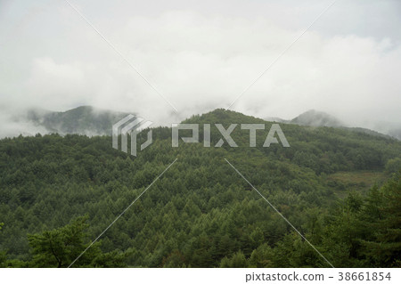 Mindongsan，Jeonsun-gun，江原道 38661854