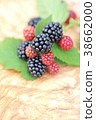 Blackberry up 38662000