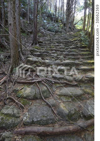 [Kumano Kodo] Matsumoto Pass 38662369