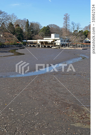 2018年Inokashira池塘乾燥風景第三次 38662534