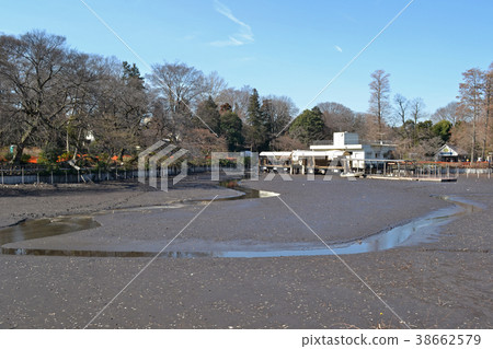 2018年Inokashira池塘乾燥風景第三次 38662579