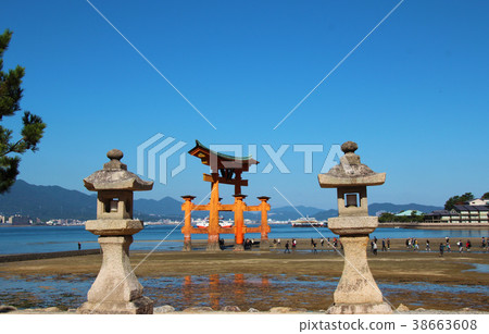 Miyajima Torii Miyajima Torii 38663608