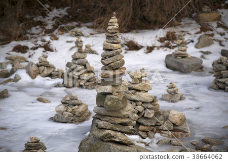 Morning Calm Arboretum, Gapyeong-gun, Gyeonggi-do 38664062