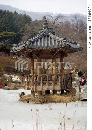 Morning Calm Arboretum, Gapyeong-gun, Gyeonggi-do Morning Calm Arboretum, Gapyeong-gun, Gyeonggi-do 38664064