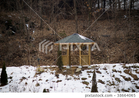 Morning Calm Arboretum, Gapyeong-gun, Gyeonggi-do 38664065